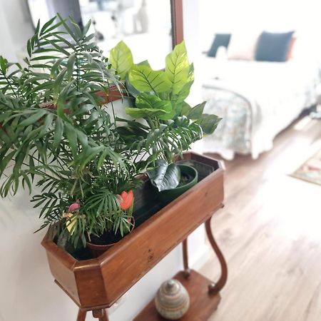 דירות Kyra House Centro ויגו מראה חיצוני תמונה