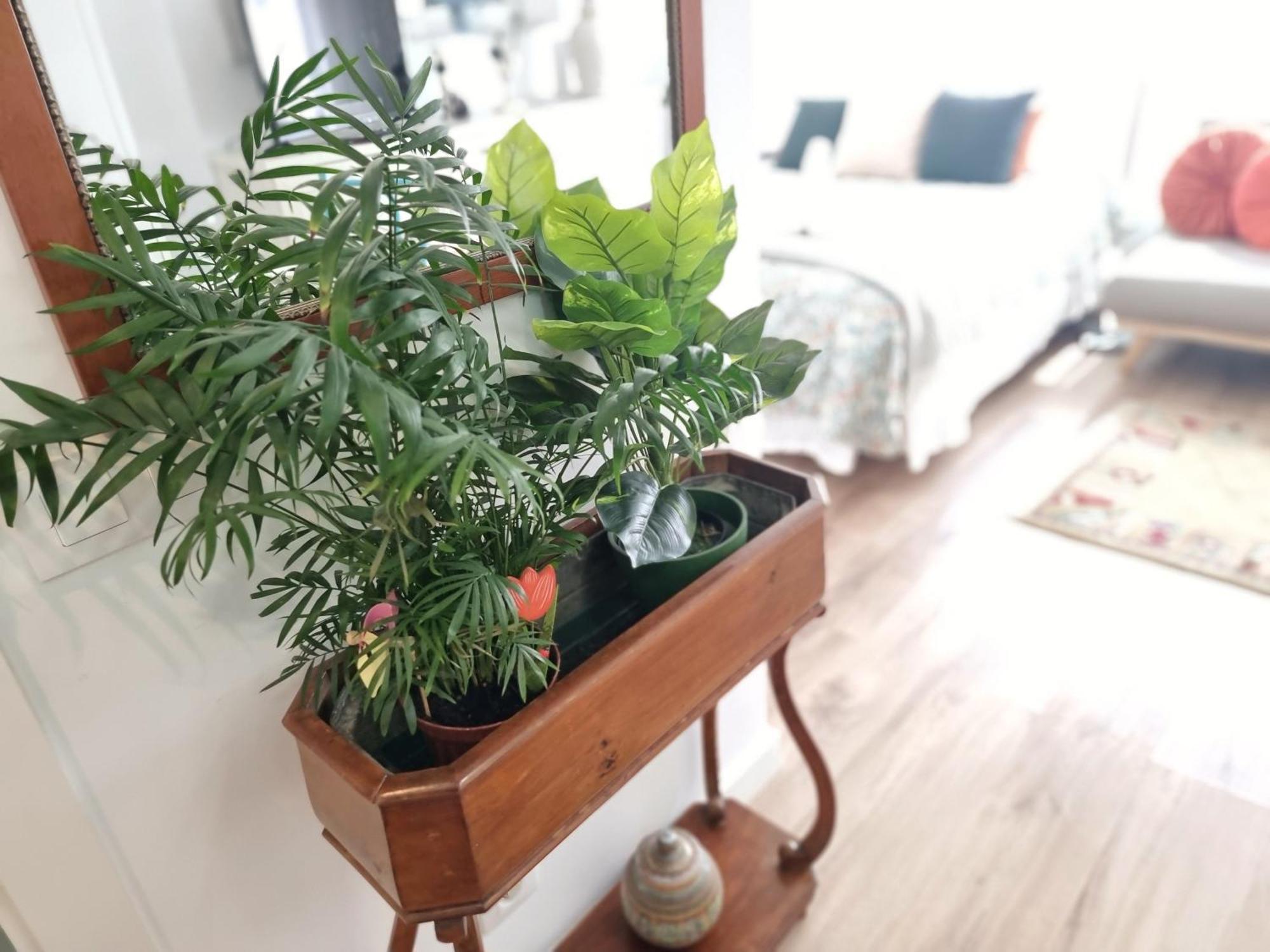 דירות Kyra House Centro ויגו מראה חיצוני תמונה